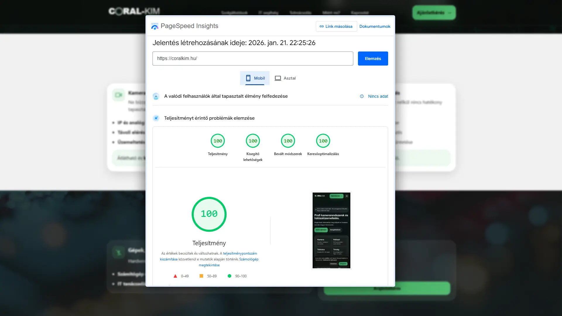 Google PageSpeed Insights 100/100 eredmény